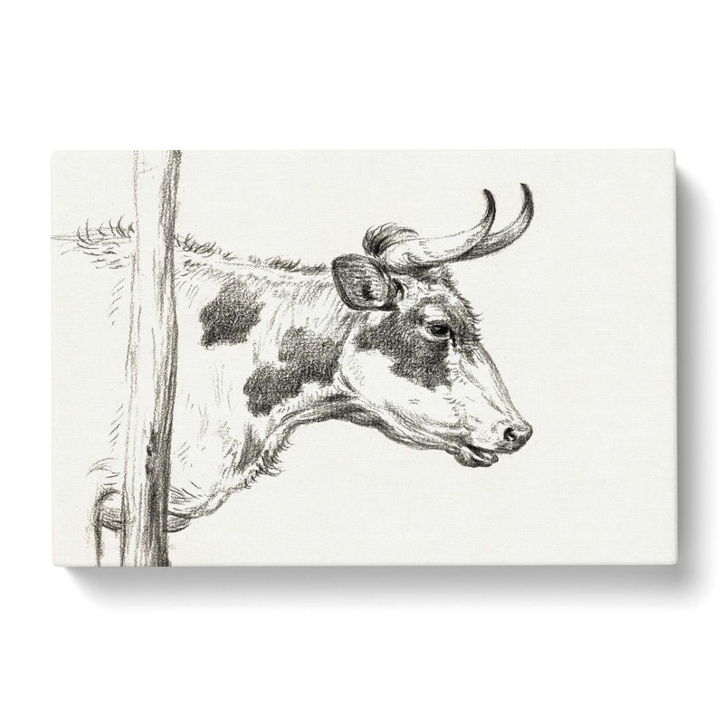 Horns Of The Cow by Jean Bernard - Wrapped Canvas Print, 50cm H x 76cm W x 3cm D