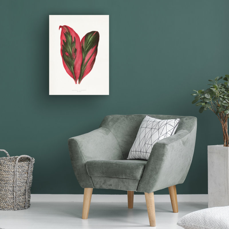 Rouleau de bolognaise, Les Plantes, feuille de Dracaena terminale rose, art sur toile, H 24 po x l 18 po