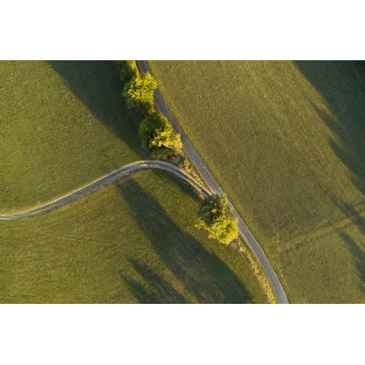 Fork In A Road by Ollo - Wrapped Canvas Print