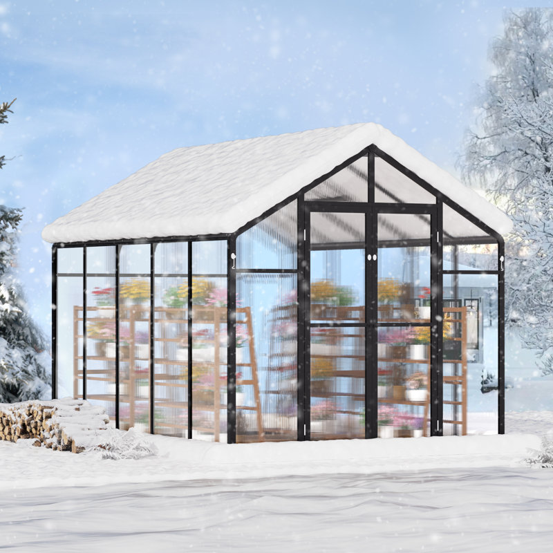 Serre de jardin en polycarbonate pour l'extérieur, H 81,12 po x l 113,76 po x P 92,88 po, Noir, noir, noir, noir