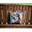 Other/No Pattern Outdoor Throw Pillow-1319112591