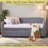 Afore Velvet Upholstered Daybed with Trundle, Twin Size-159338149