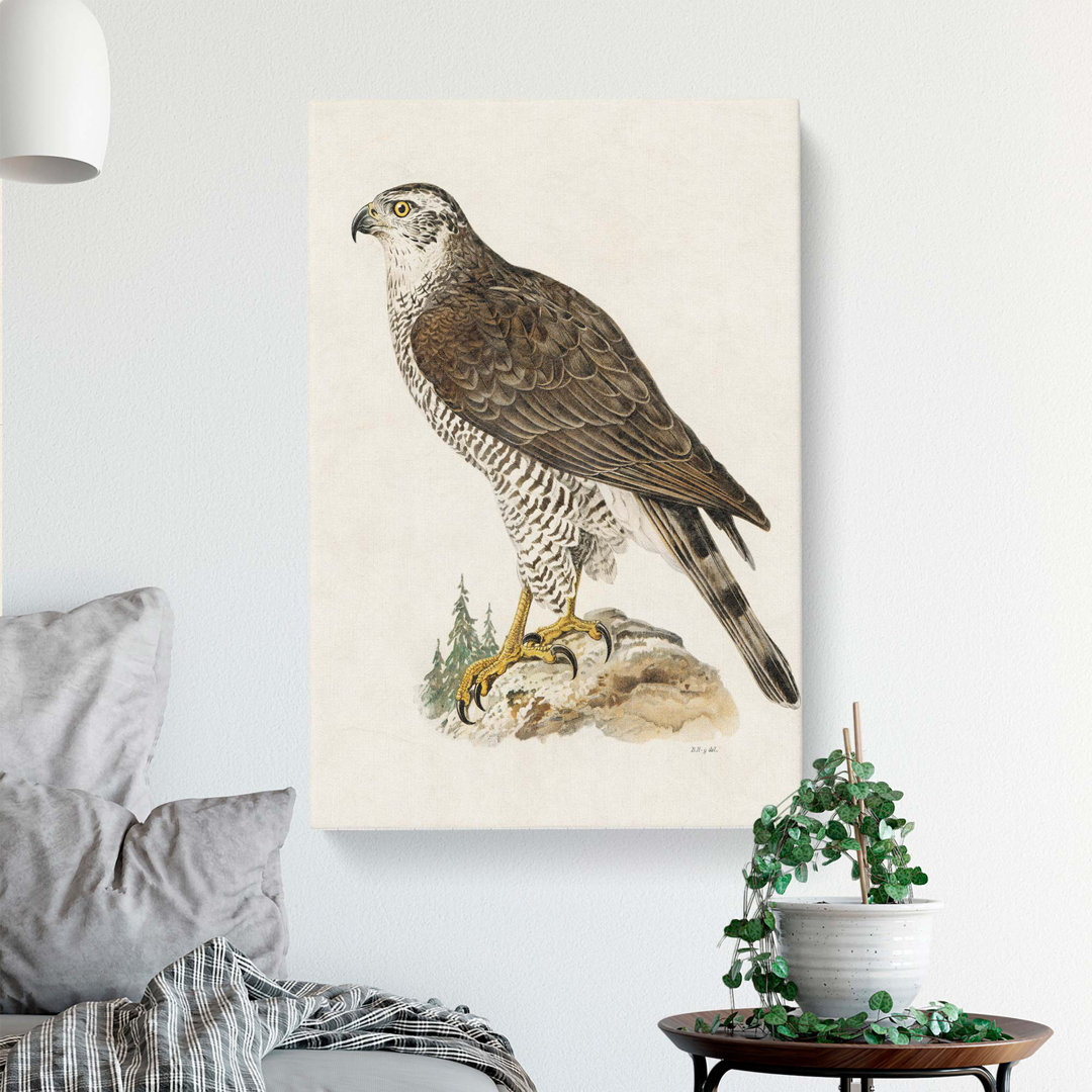 A Goshawk by Von Wright - Wrapped Canvas