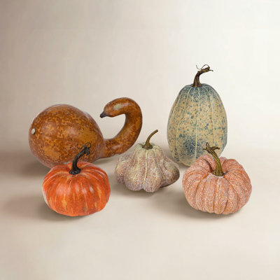 Heirloom Pumpkins, Set of 5