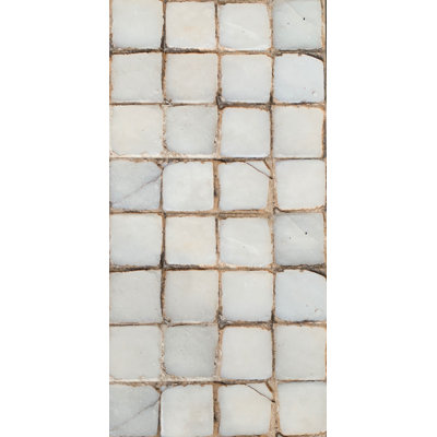 Raja 12" x 24" Ceramic Floor & Wall Tile