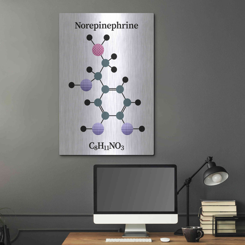 Trinx «Norepinephrine Molecule» par Luxe Portfolio, art mural en métal, H 36 po x l 24 po