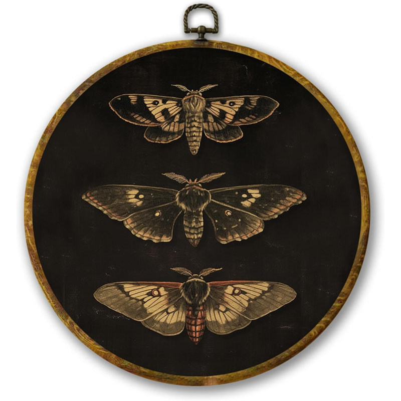 Papillon rétro, décor de papillon papillon papillon Motty foncé 10 x 10, décorations de campagne rondes neutres pour maison
