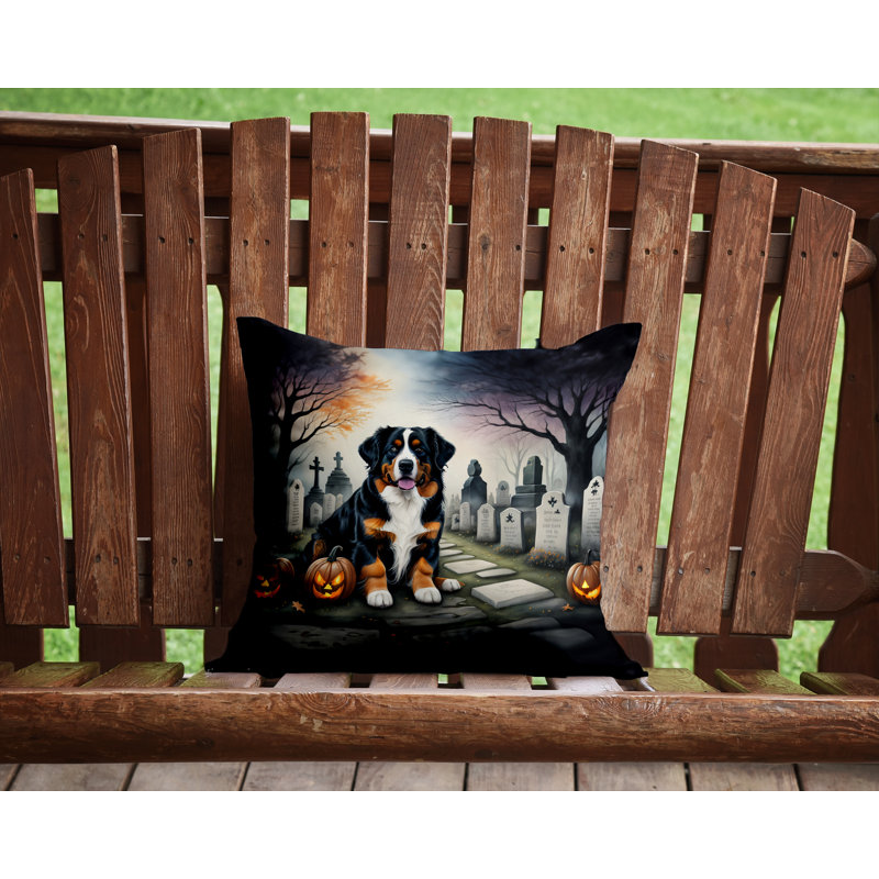 Other/No Pattern Outdoor Throw Pillow, 14" x 14"