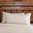 Burlap Antique White Star King Sham-33051136-36426302