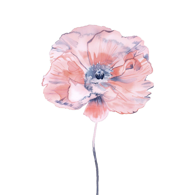 Poppy No. 7