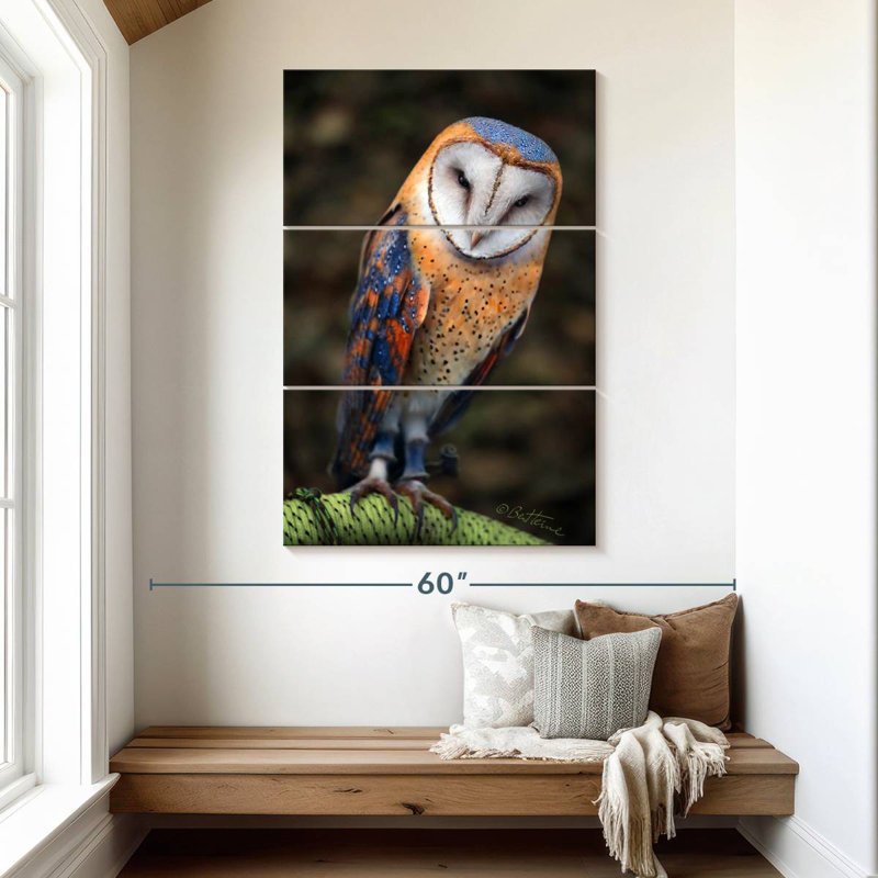Brampt Heart-Shaped Face Barn Owl, 50" H x 32" W