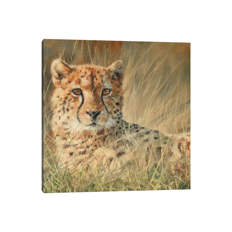 Cheetah Laying In Long Grass by David Stribbling - Wrapped Canvas Painting, 66.04 cm H x 66.04 cm W x 1.91 cm D