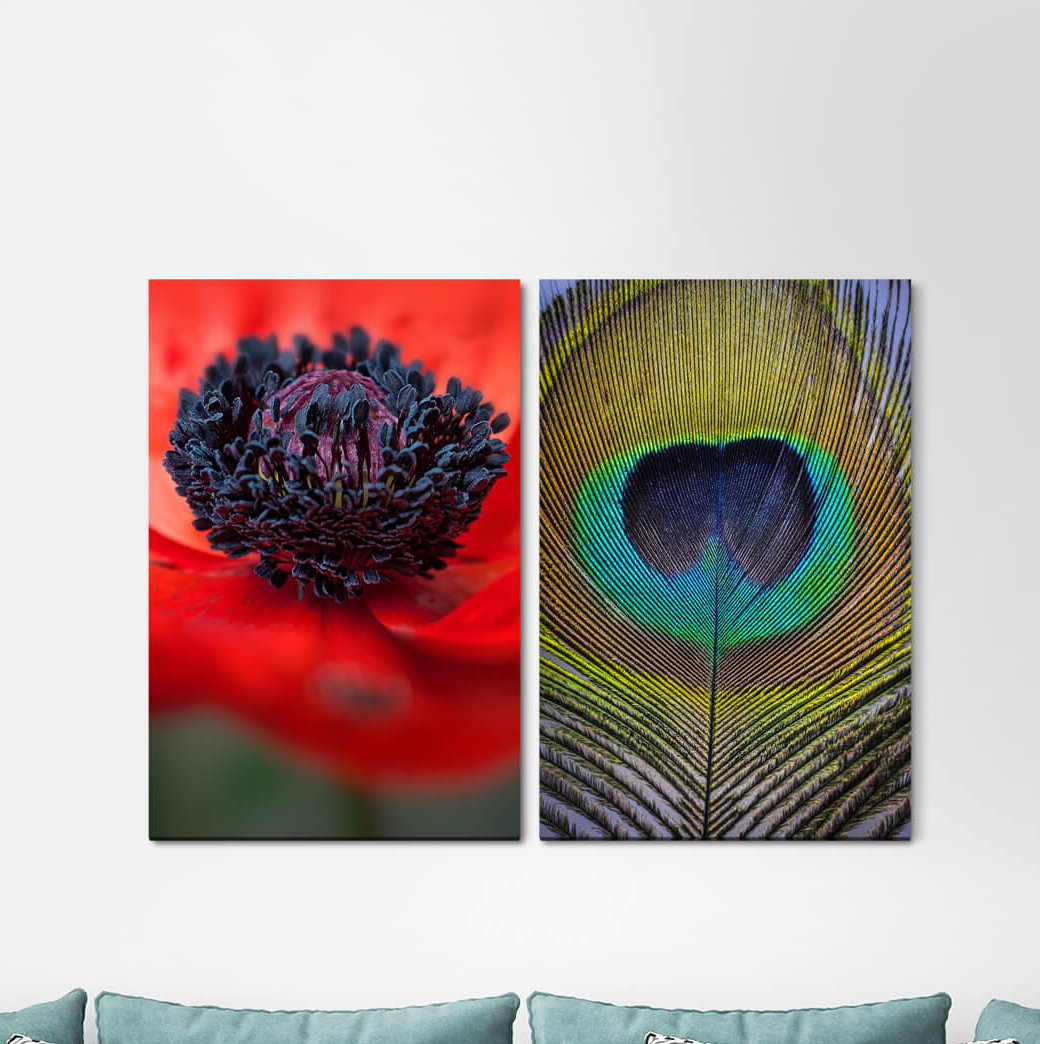 2-tlg. Leinwandbilder-Set Pfau-Feder Mohn-Blumen-Blüten-Feder