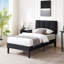 Lit Wiebe-94947251