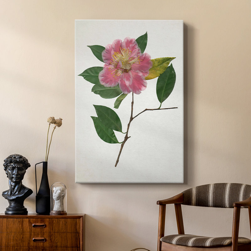 PressedCamelliaII - Gallery Cavas sur mesure, H 18 po x l 12 po