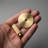 Redefine Hardware Round Brass Backplate And Knob