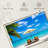 Gillard Deckchairs-107490190