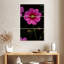 Fleurs Harnek Garden Cosmos-108546246
