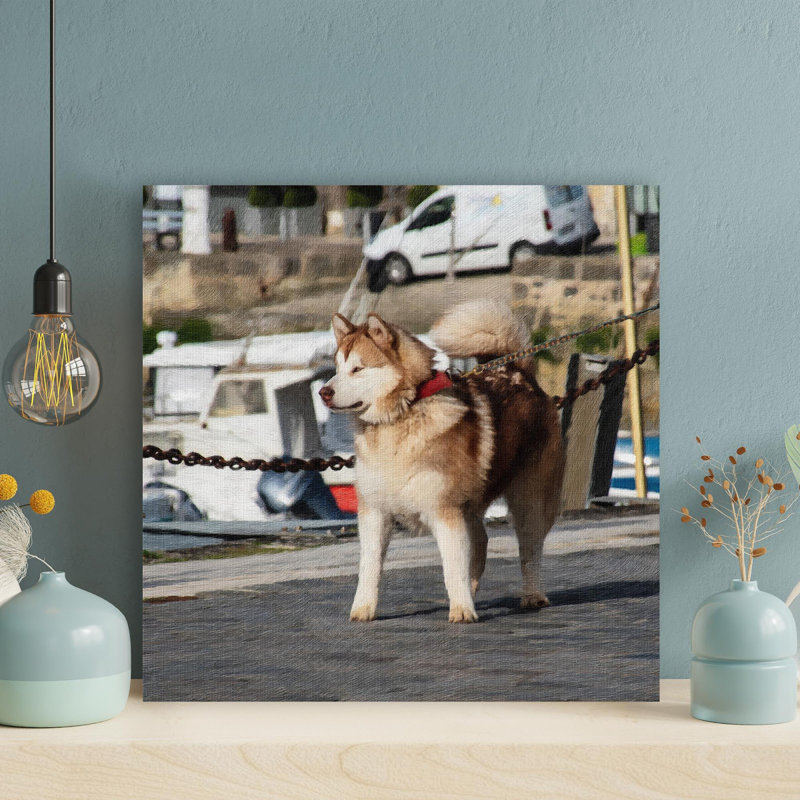 " Brown And White Siberian Husky On Road During Daytime " Graphic Art Painting, 16" H x 16" W