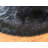 Wiesner Performance Faux Sheepskin Washable Indoor Rug-981595162
