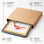 Whale in Colour Modern 1 Piece Single Picture Frame Wall Art-136552002-136552001
