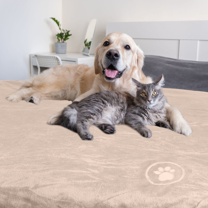 Couverture imperméable pour chien, pour lit, lit ou voiture PETPAKER, 40 po x 30 po, Motif brun clair / patte brodée