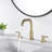 Bathroom Faucet-123384971-66709618