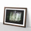 Bird Flying By The Waterfall - Single Picture Frame Print on MDF-56890865-56890864