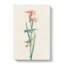 Blue & Yellow Warbler Birds by John James Audubon - Wrapped Canvas-55370530