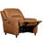 Speirs Power Recliner