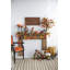 Rayen Teddy Pumpkin-2108244800