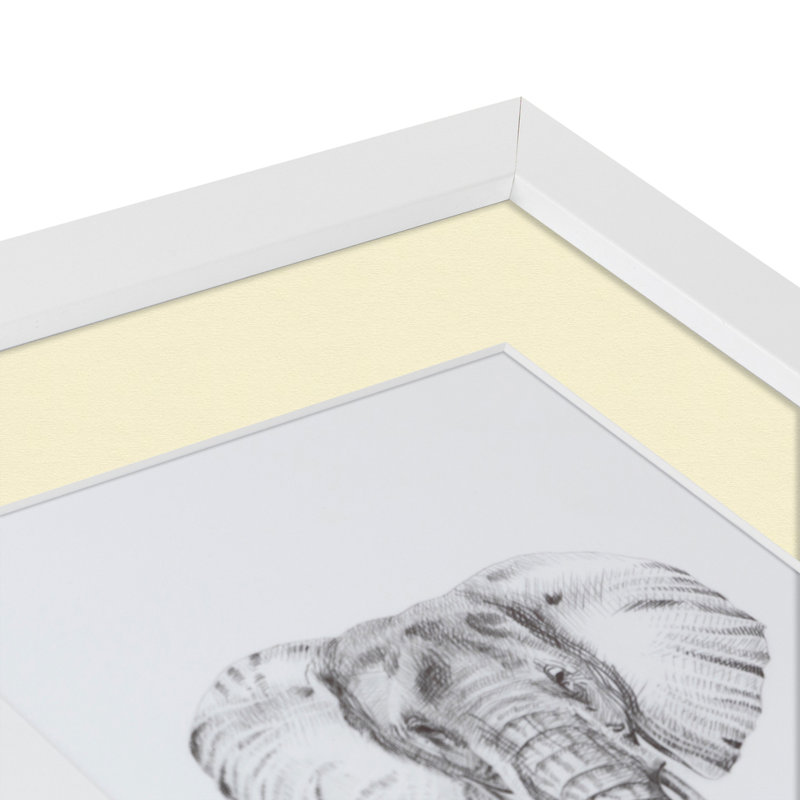 Cadre pour photo simple blanc mat 10 "x 20", Huître