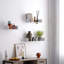 Lamberti 3 Piece Solid Wood Floating Shelf-126483208-38837740