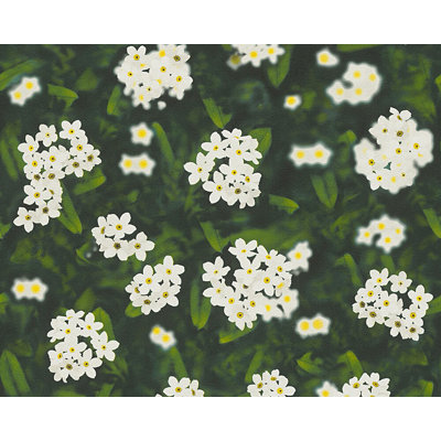 Dekora Natur 6 Floral Roll