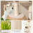 Corrigan Studio® 59" Cattail Cat Tower With Sisal Scratching Posts Perch Condo Soft Hammock Indoor