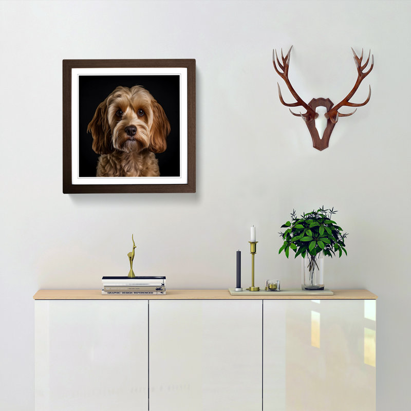 Cockapoo Photograph - Framed Print, Walnut