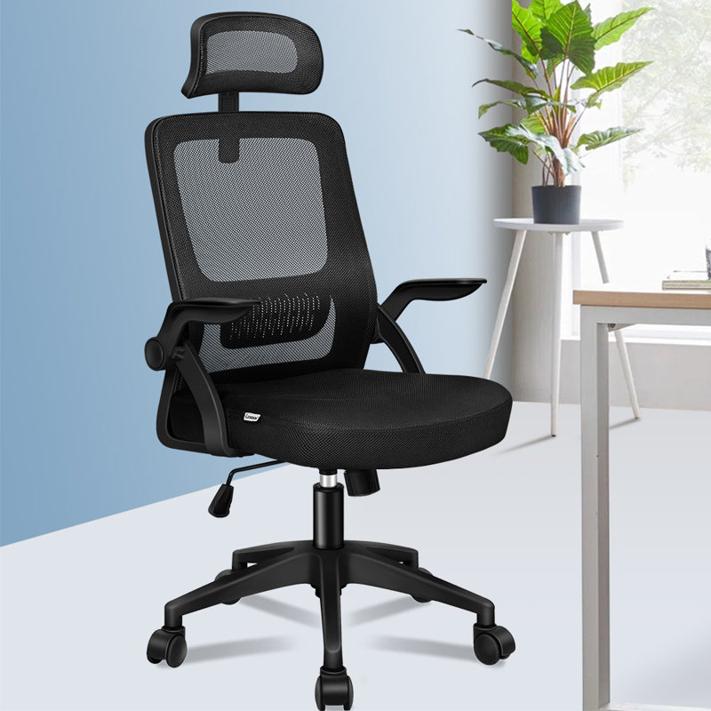 Mesh Desk Chair, Black, Black