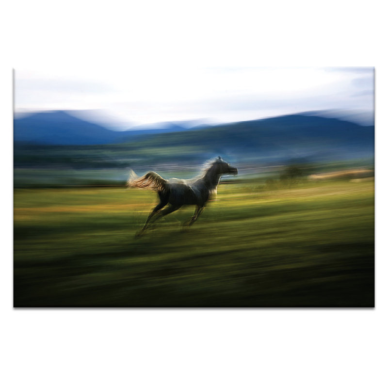 Print on Canvas, 102cm H x 152cm W, Wrapped Canvas