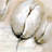 Tulips with Typography - Beige Framed Canvas for Home Decor
