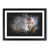 Black Framed