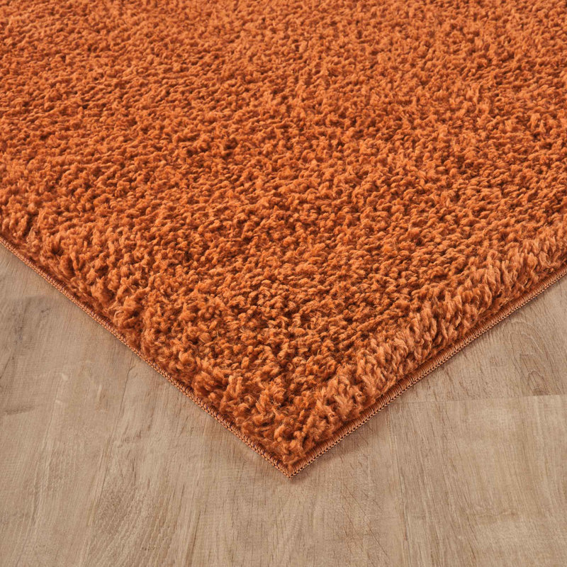 Ainsley Plain Living Room Shaggy Area Rug Modern Soft Pile Polyester Rug, Rectangle 160 x 230 cm, Terracotta