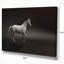 «Gray Horse», impression-29491662-35109763