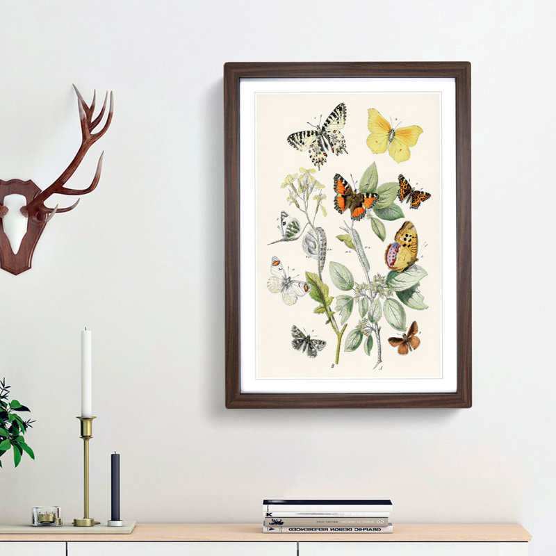 Caterpillars, Moths & Butterflies by W.F. Kirby - Picture Frame Graphic Art Print, 65cm H x 48cm W x 2cm D, Walnut Framed