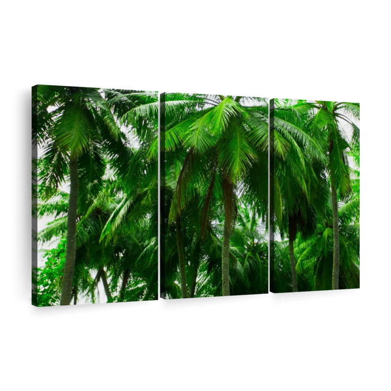 «Palm Tree Forest» sur toile, H 24 po x l 38 po x P 1,25 po