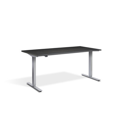 Aarifah Adjustable Metal Base Standing Desk