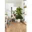 Pot Planter-69444306-69444311