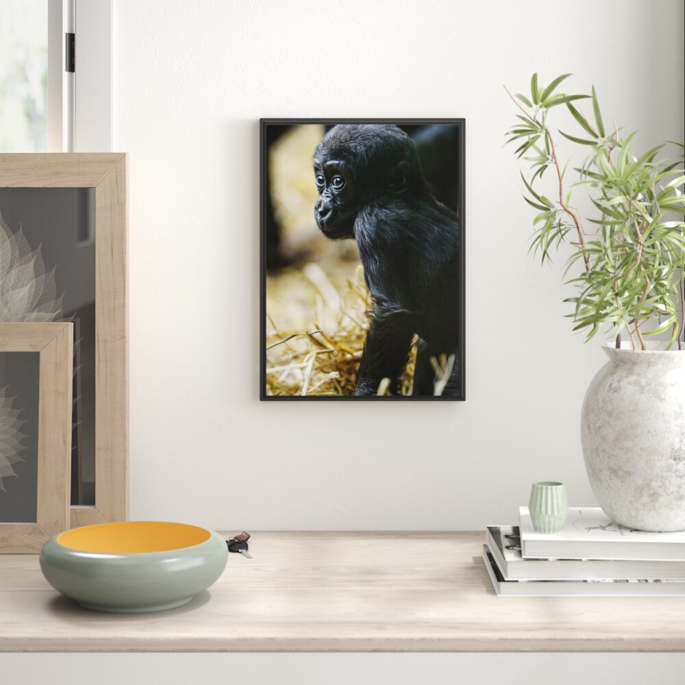 Gerahmtes Wandbild kleines Gorillajunges