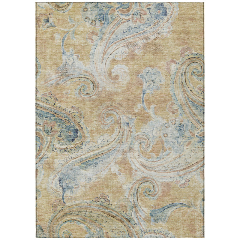 Machine Washable Indoor/Outdoor Chantille ACN2748 Paisley Rug, 10' x 14', Coral