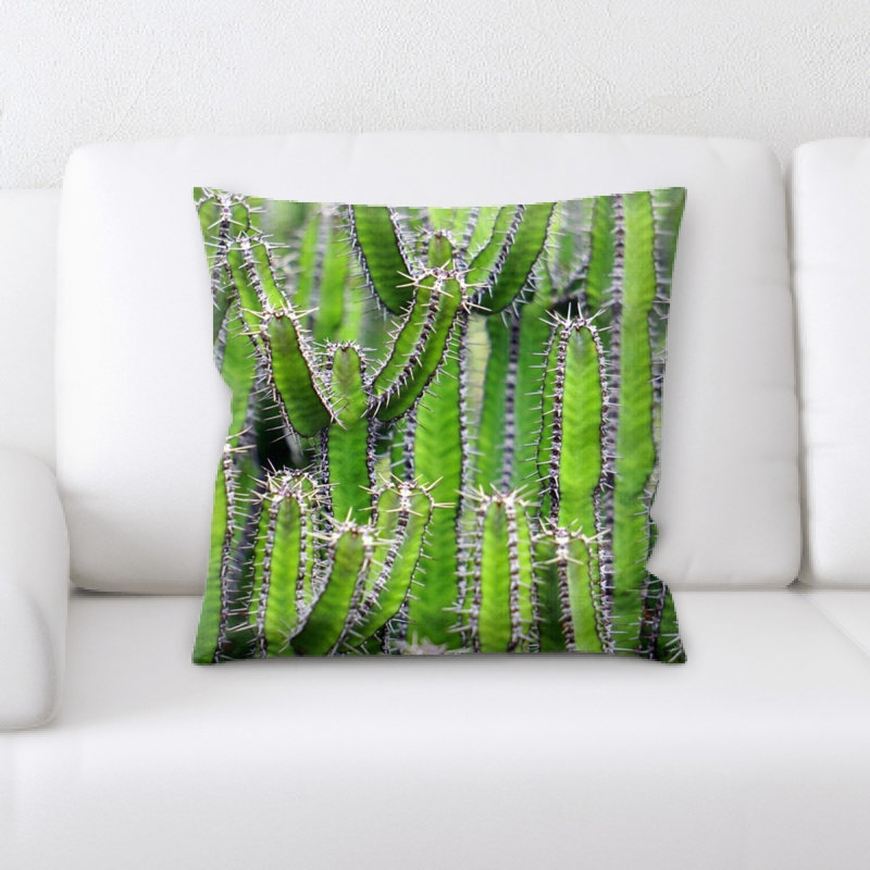 Coussin cactus