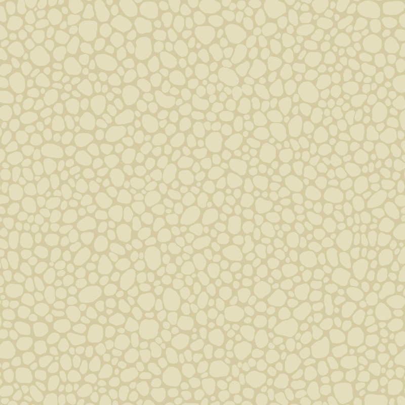 Landscape Plains Pebble Stone Wallpaper Roll, Cream